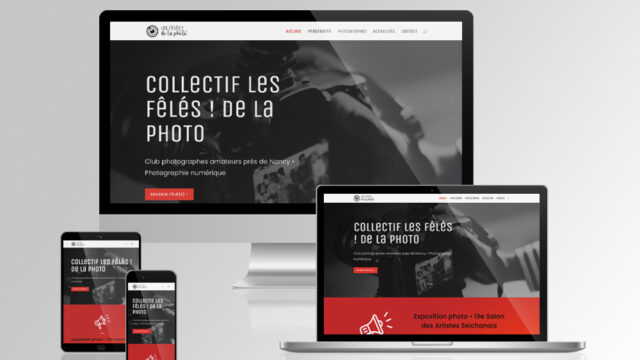 creation-site-internet-les-feles-photo-1